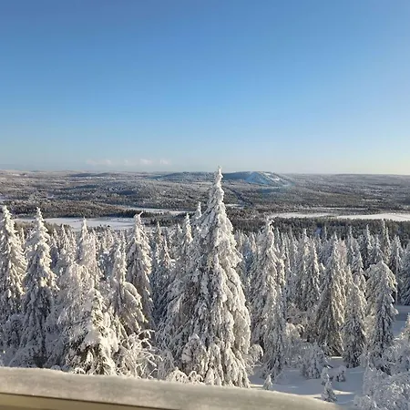 Naekoealahuoneisto 420 *